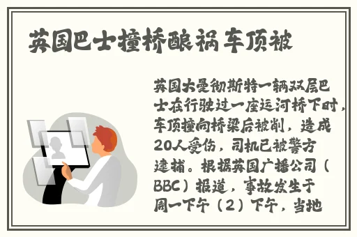 病勤楼栋第1樱花动画